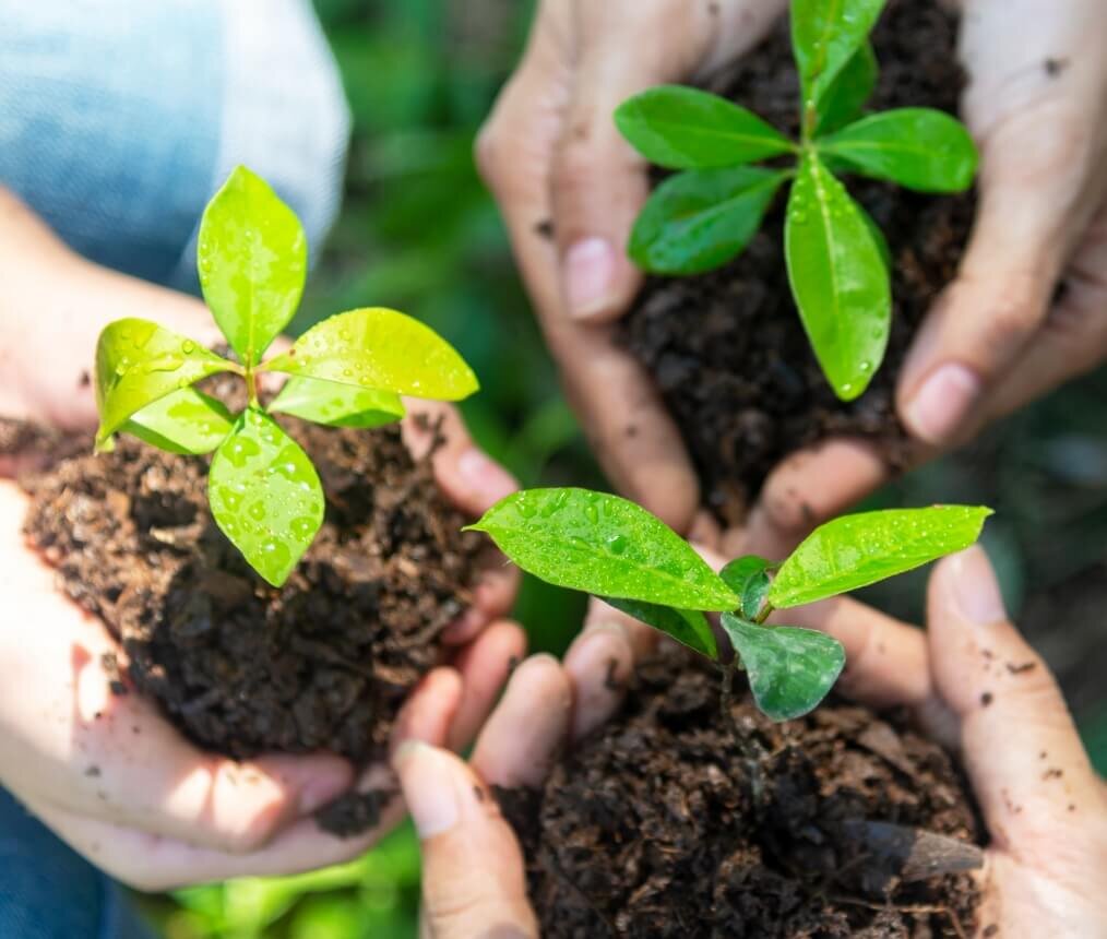 Santamarina mas steta compromiso asg ambiental preservacion y proteccion