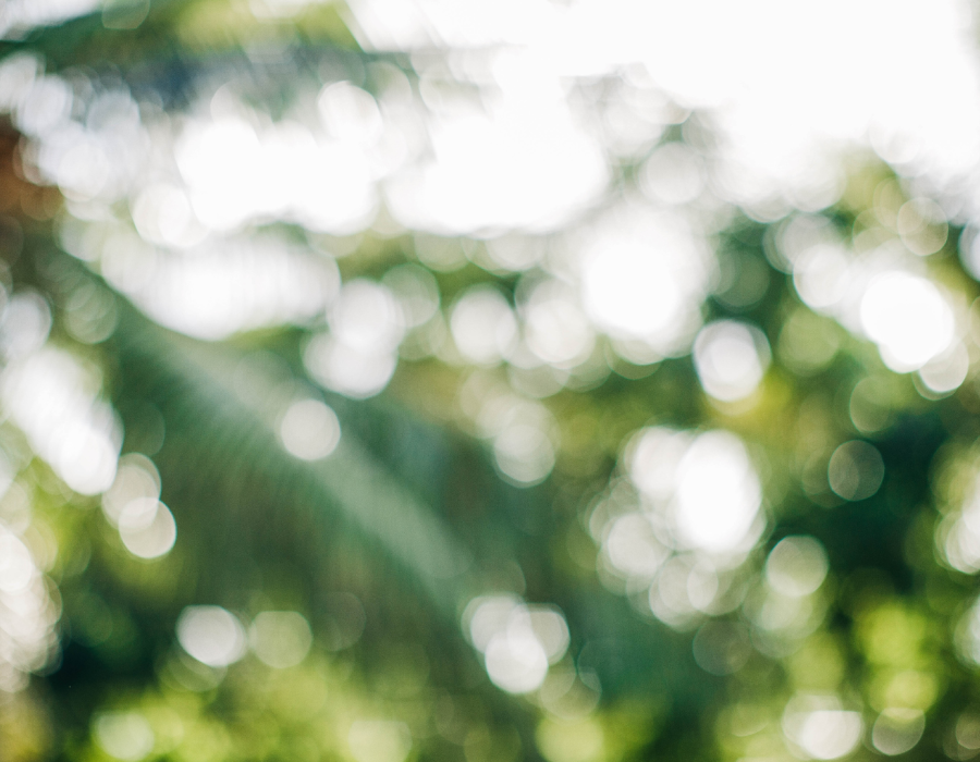 santamarina steta ley general de economía circular