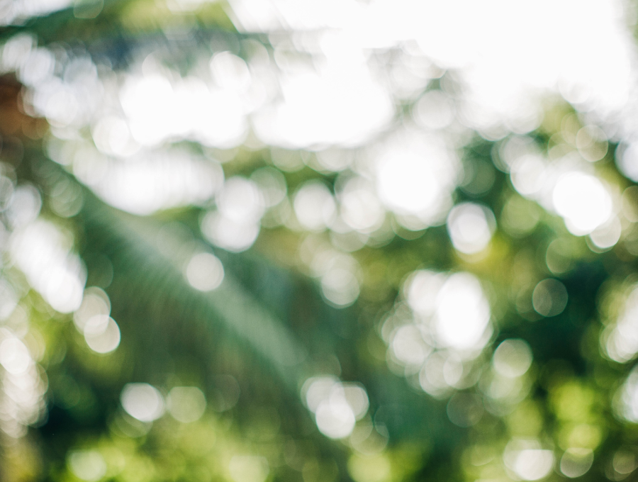 santamarina steta ley general de economía circular