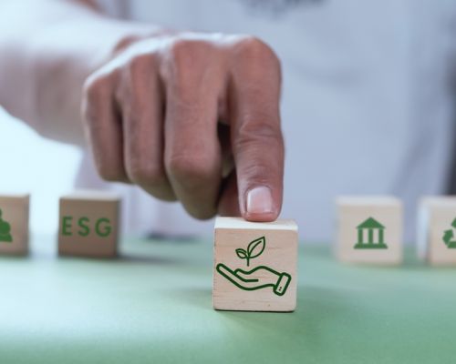 shutterstock 2317830795 1